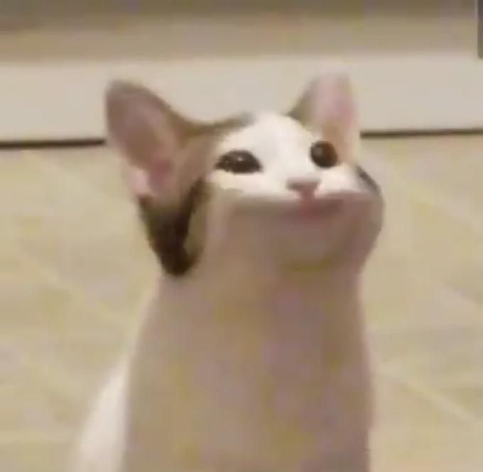 hqdefault