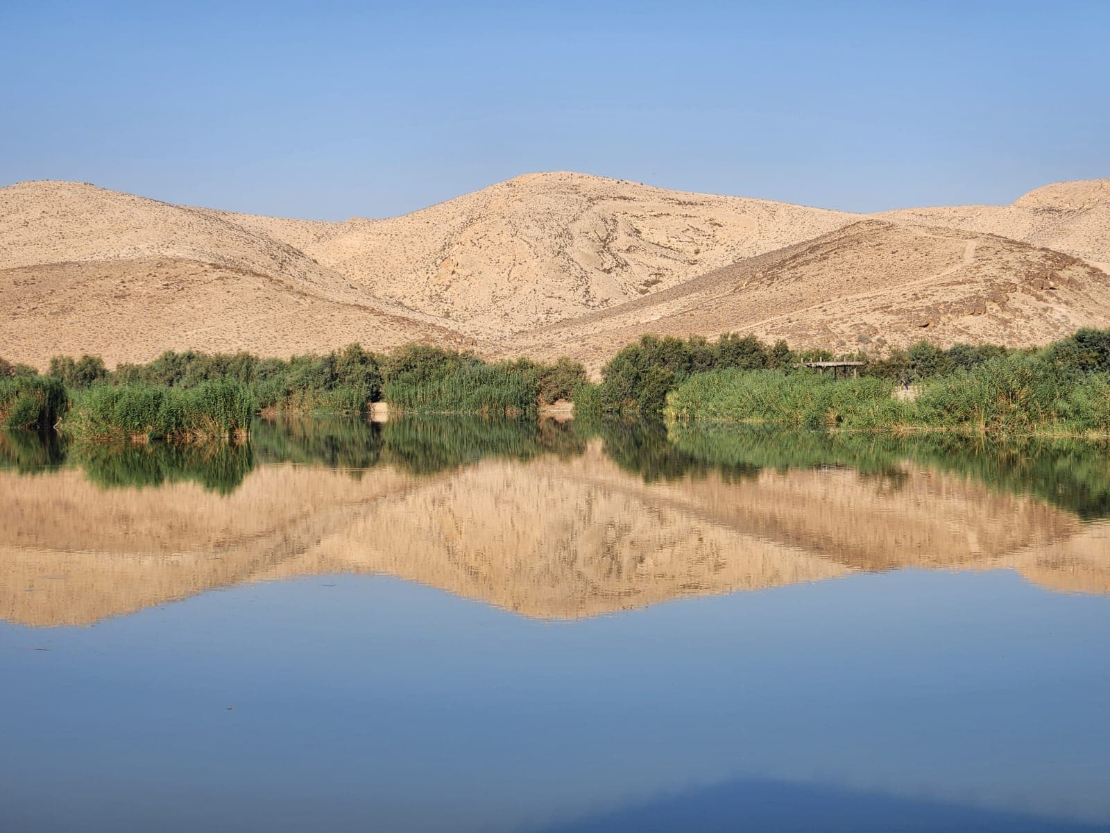 אגם ירוחם חניאל אלמקייס.jpg