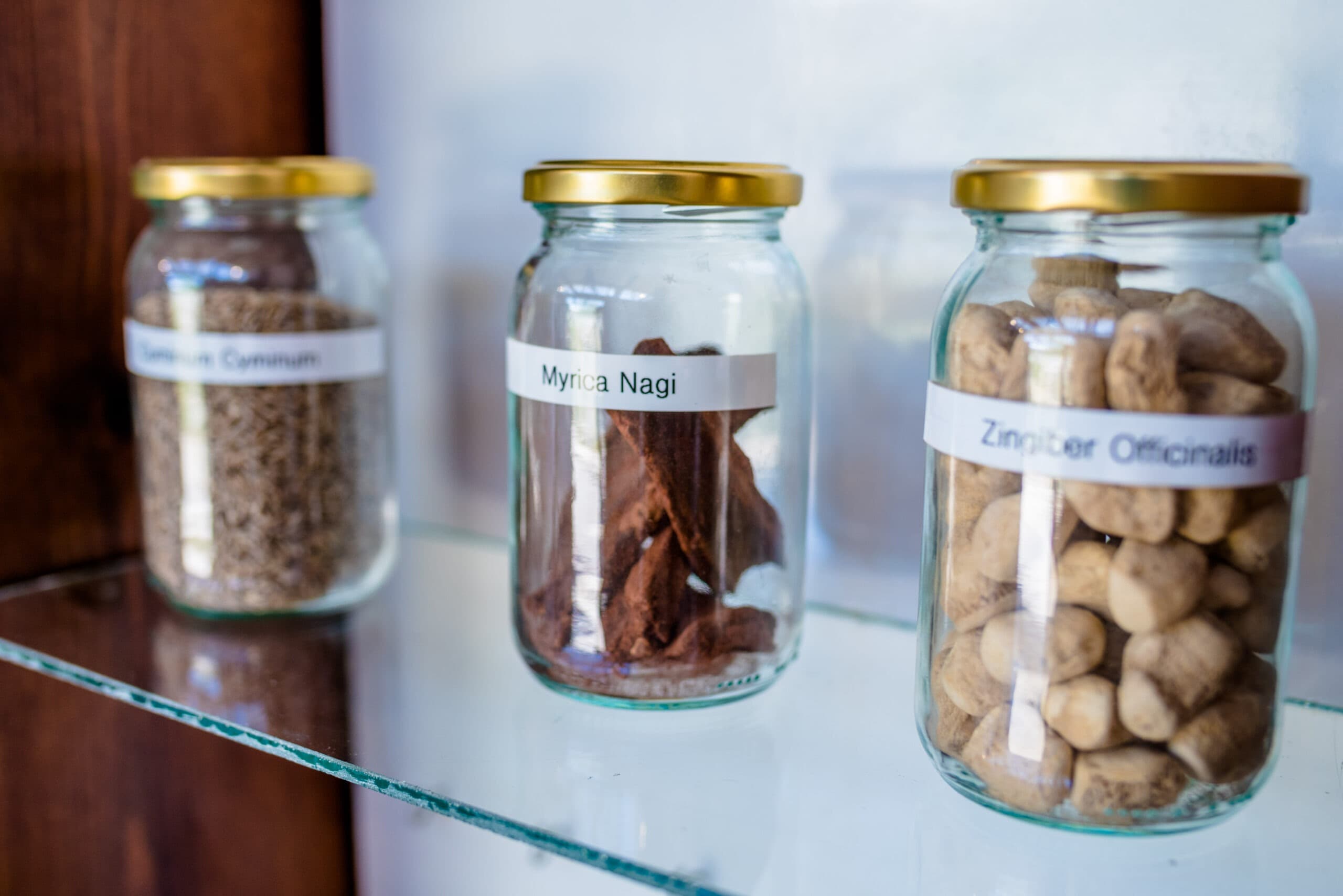 דהרמה ערד - ריפוי טבעי