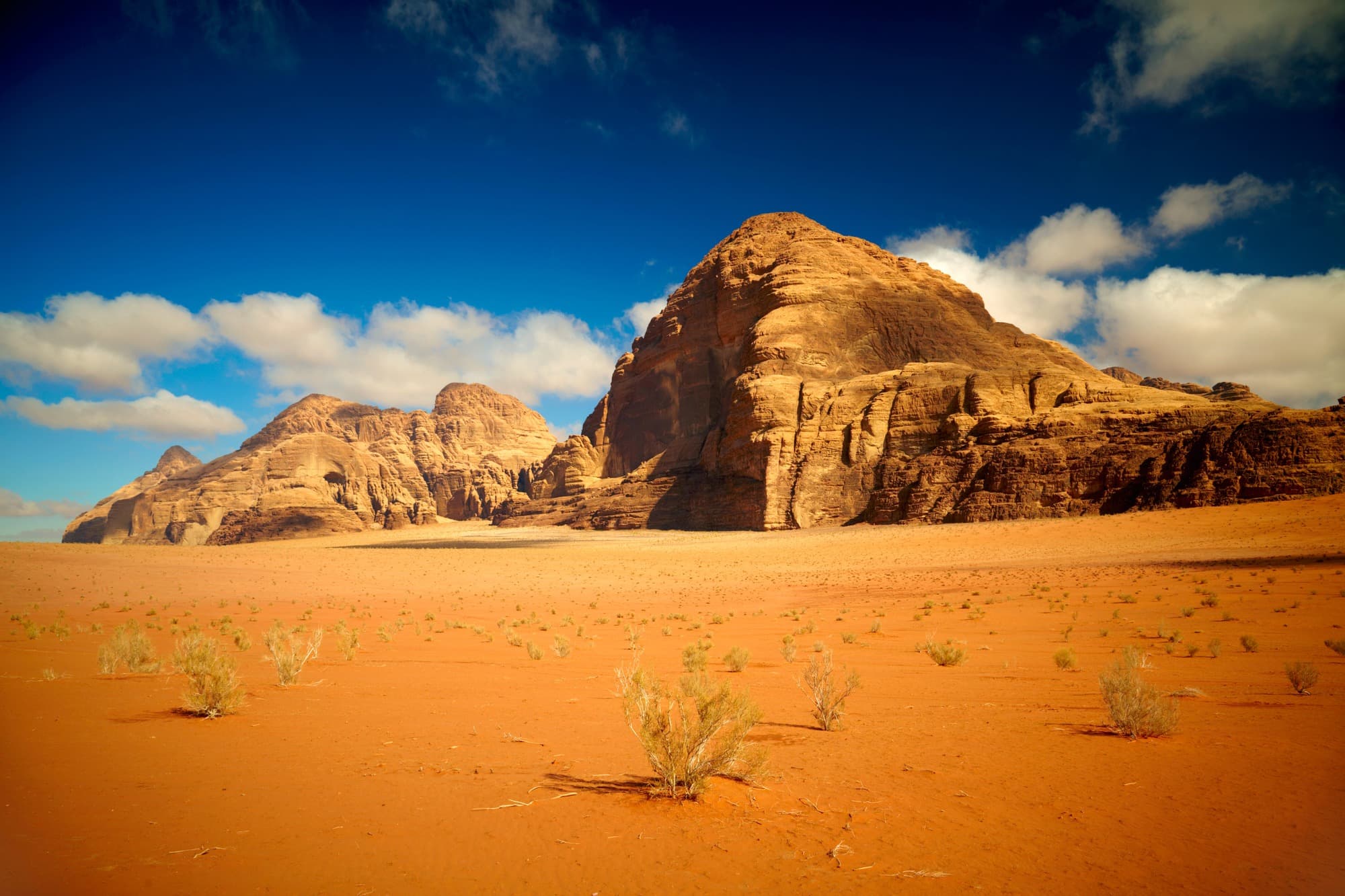 בוטיקו תיירות